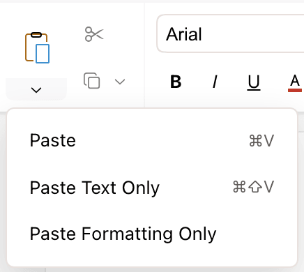 The paste options menu with Paste, Paste Text Only, and Paste Formatting Only