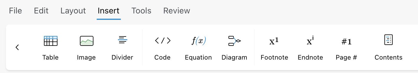 The Insert tab with Table, Image, Divider, Code, Equation, Diagram, Footnote, Endnote, Page #, and Contents buttons